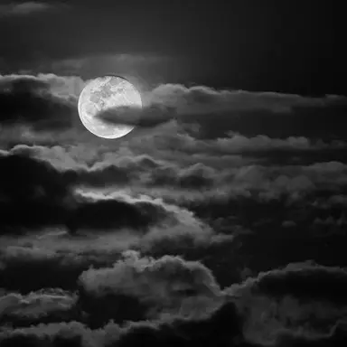 Profile image of 007n7