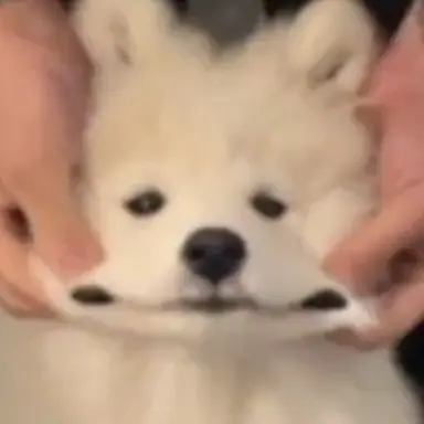 Profile image of 이제노