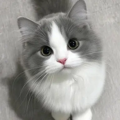 Profile image of 나재민