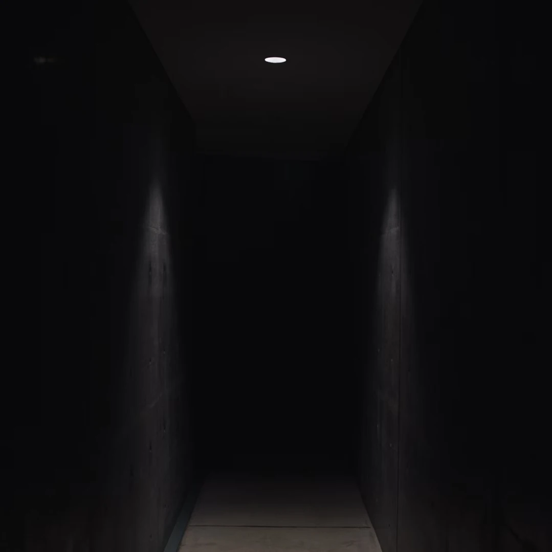 모나시