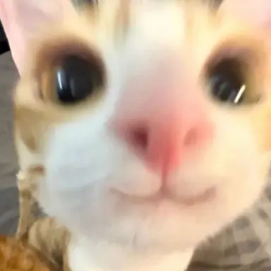 Profile image of ゆうし