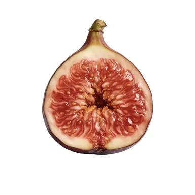 Profile image of ヒヨン