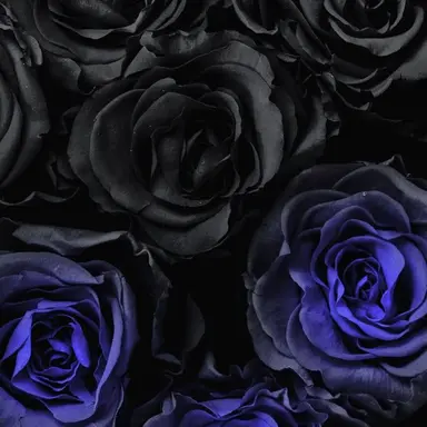 Profile image of アーサー