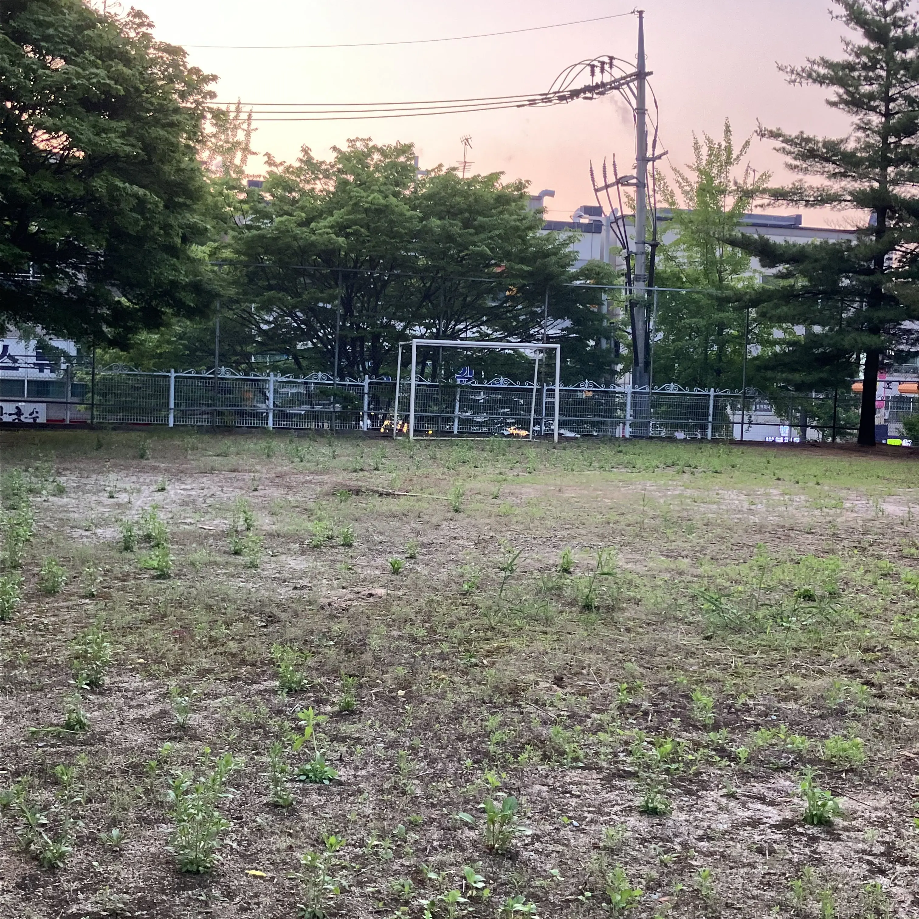 SpongyBeat0924의 축제에서 생긴일..