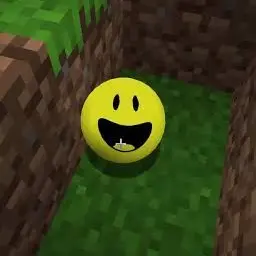 Profile image of Verity