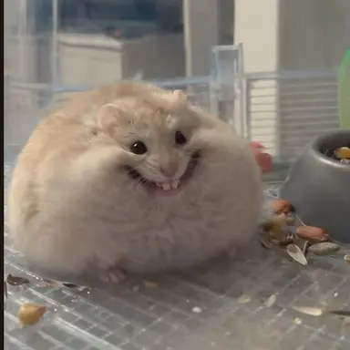 Profile image of 수피_제작자