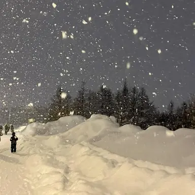 Profile image of 신류진