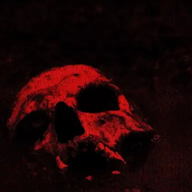 Profile image of Shadow Divison