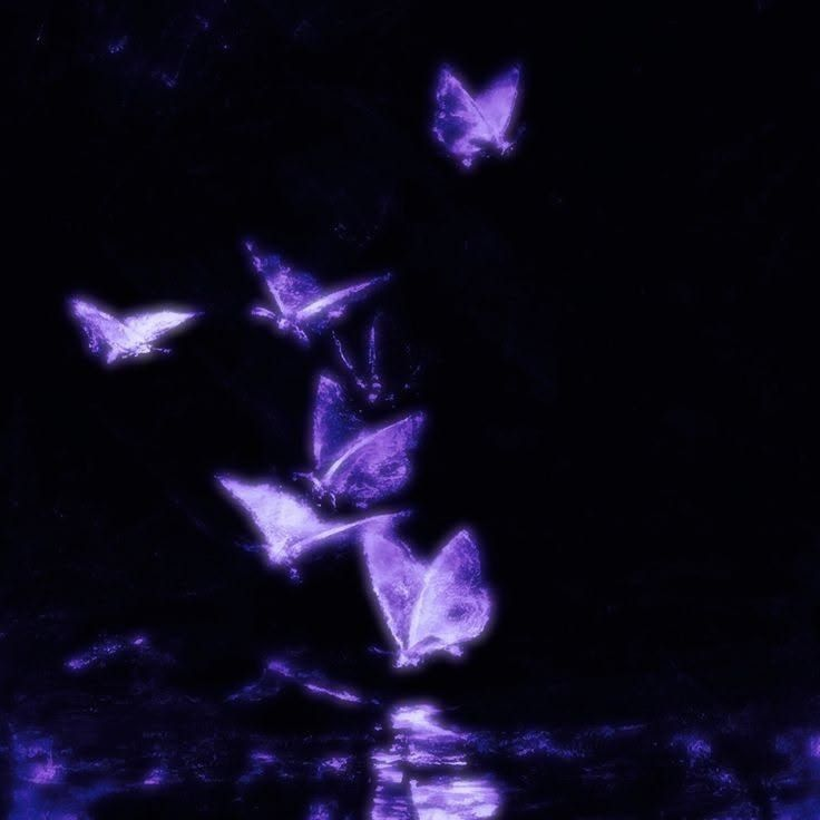 𝓞𝓽𝓸 𝓡𝓪𝓲𝓷𝔂 대표 이미지