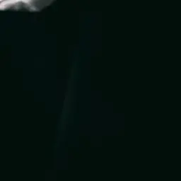 ....___.의 廣目
