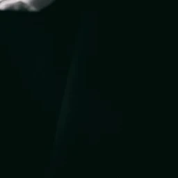 廣目