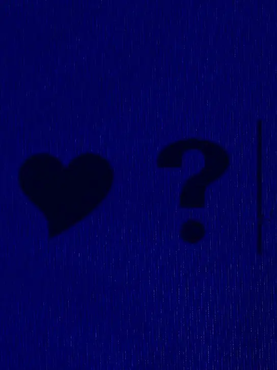 ..520의 ︎ ︎