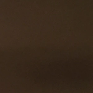 김지호 최지훈