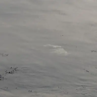 Profile image of 방찬