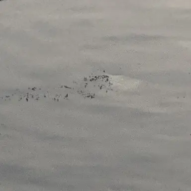 Profile image of 서창빈