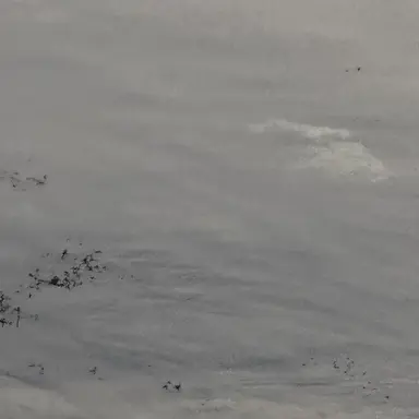 Profile image of 양정인