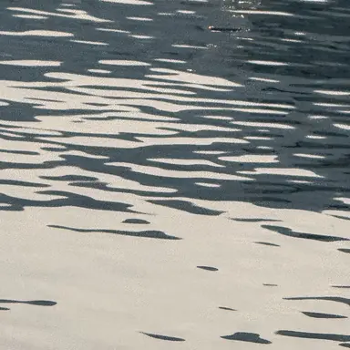 Profile image of 황현진