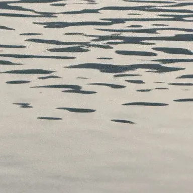 Profile image of 이용복