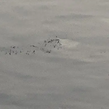 Profile image of 이민호