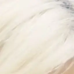 Profile image of 후지사와 료카