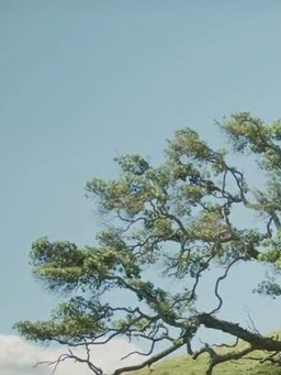 중세시대 료카 대표 이미지