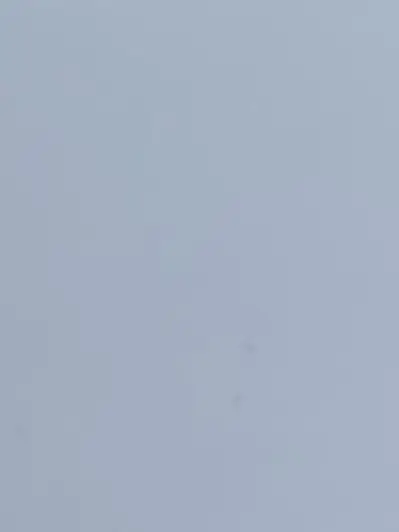 SilkyDonor0410의 ㅇㅈㅇ