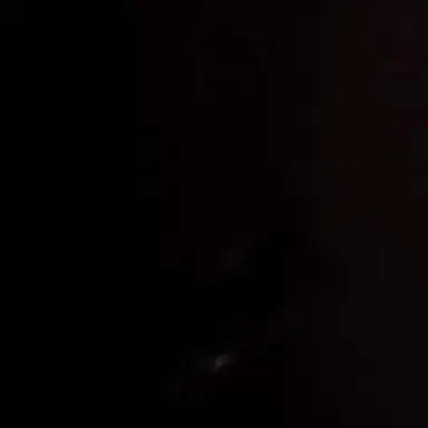 Profile image of 마키