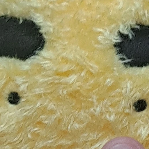 메모장