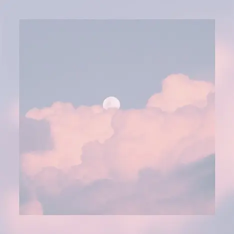 Bweb의 쪼