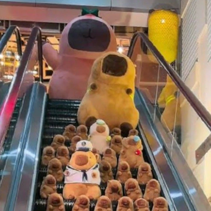 99나이트