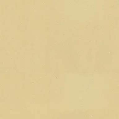 Profile image of 叶