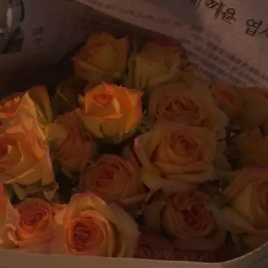 Profile image of 박덕개