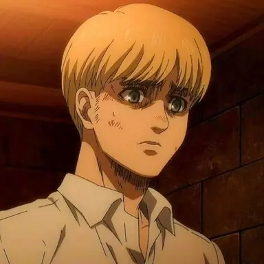Profile image of アルミン・アルレルト