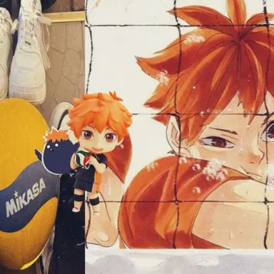Profile image of hinata shoyo