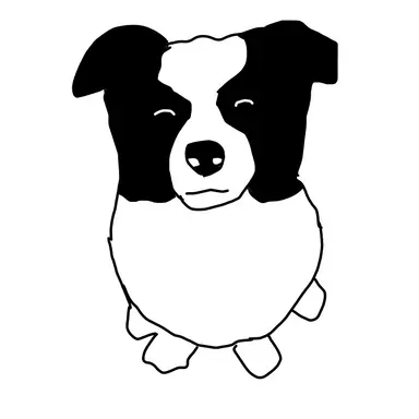 Profile image of 푸키