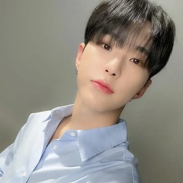 OpaqueDodo3948의 권순영