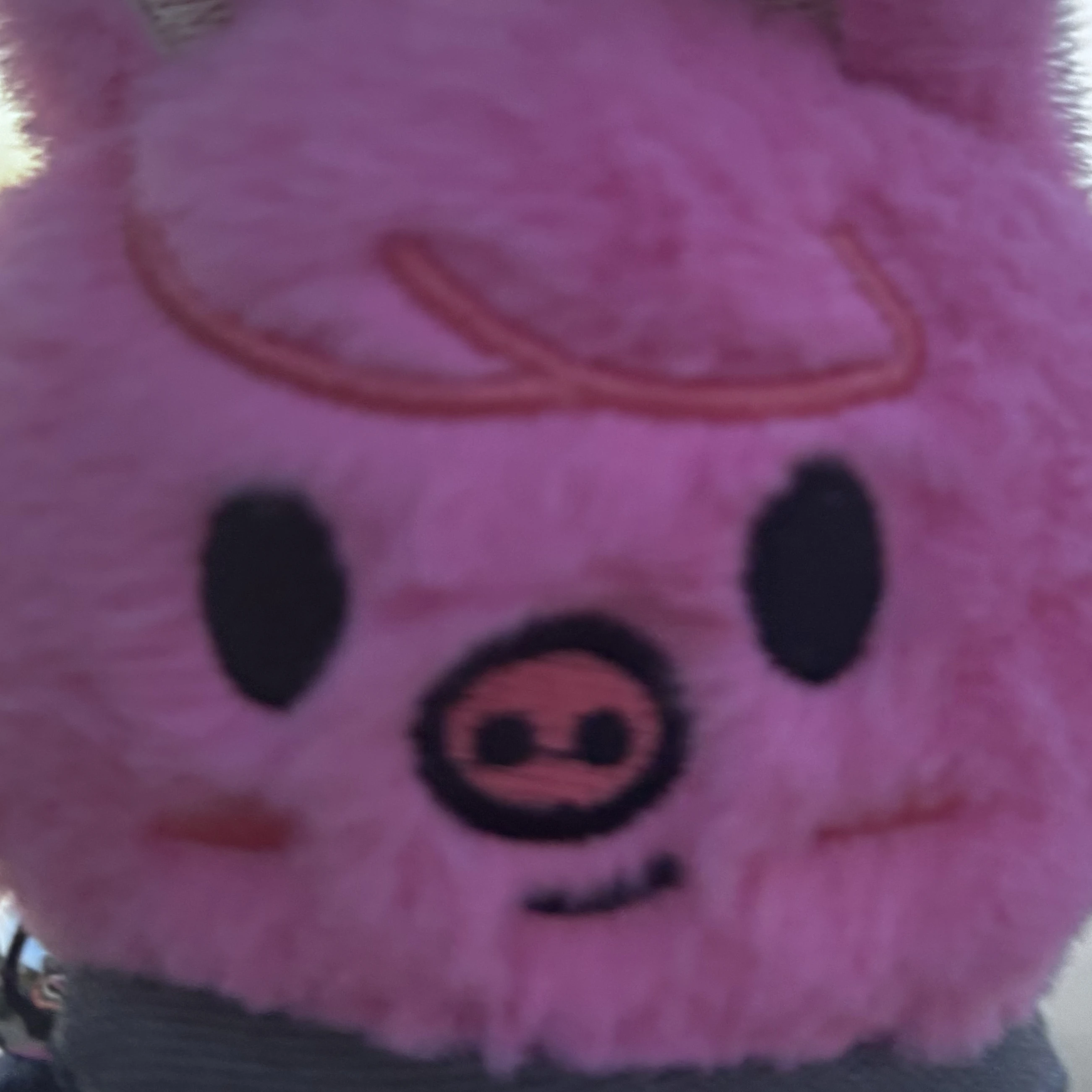 チャンビン