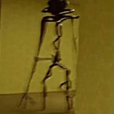 Profile image of The Roaming bacteria