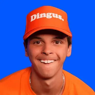 Profile image of Dingus