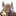 시그너스
