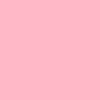 不良くん