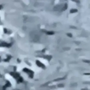 Profile image of 미틴놈