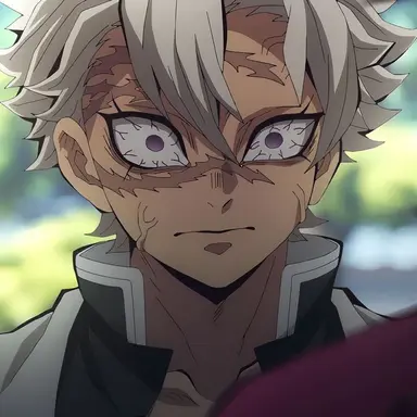 Profile image of Sanemi Shinazugawa