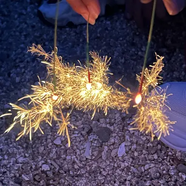 Profile image of 目黒蓮