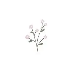Profile image of 梨花