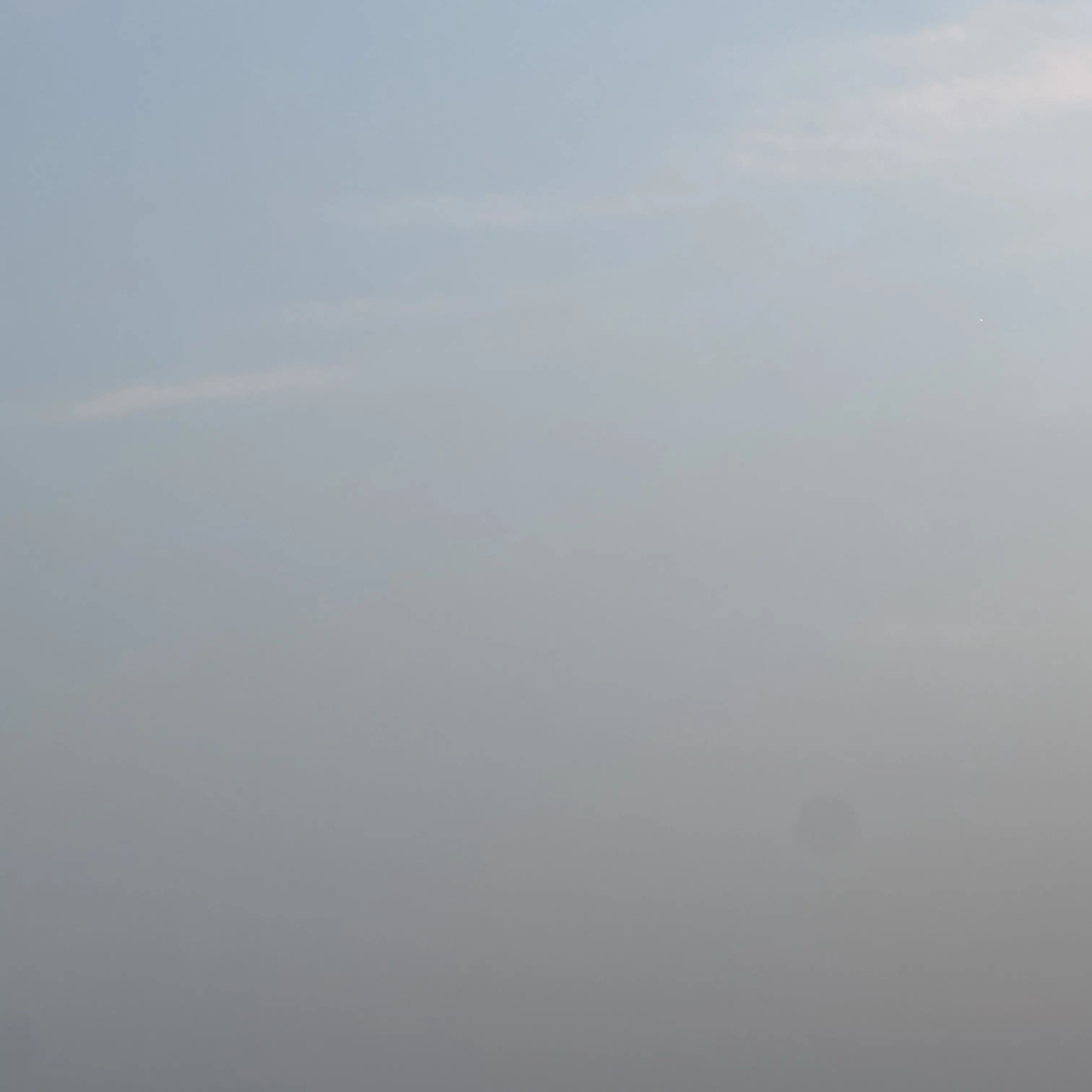 PaleBus9959의 송하영