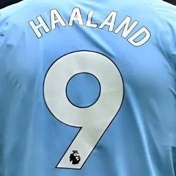 Profile image of 홀란