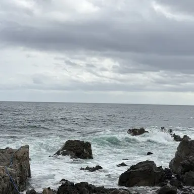 Profile image of 수현