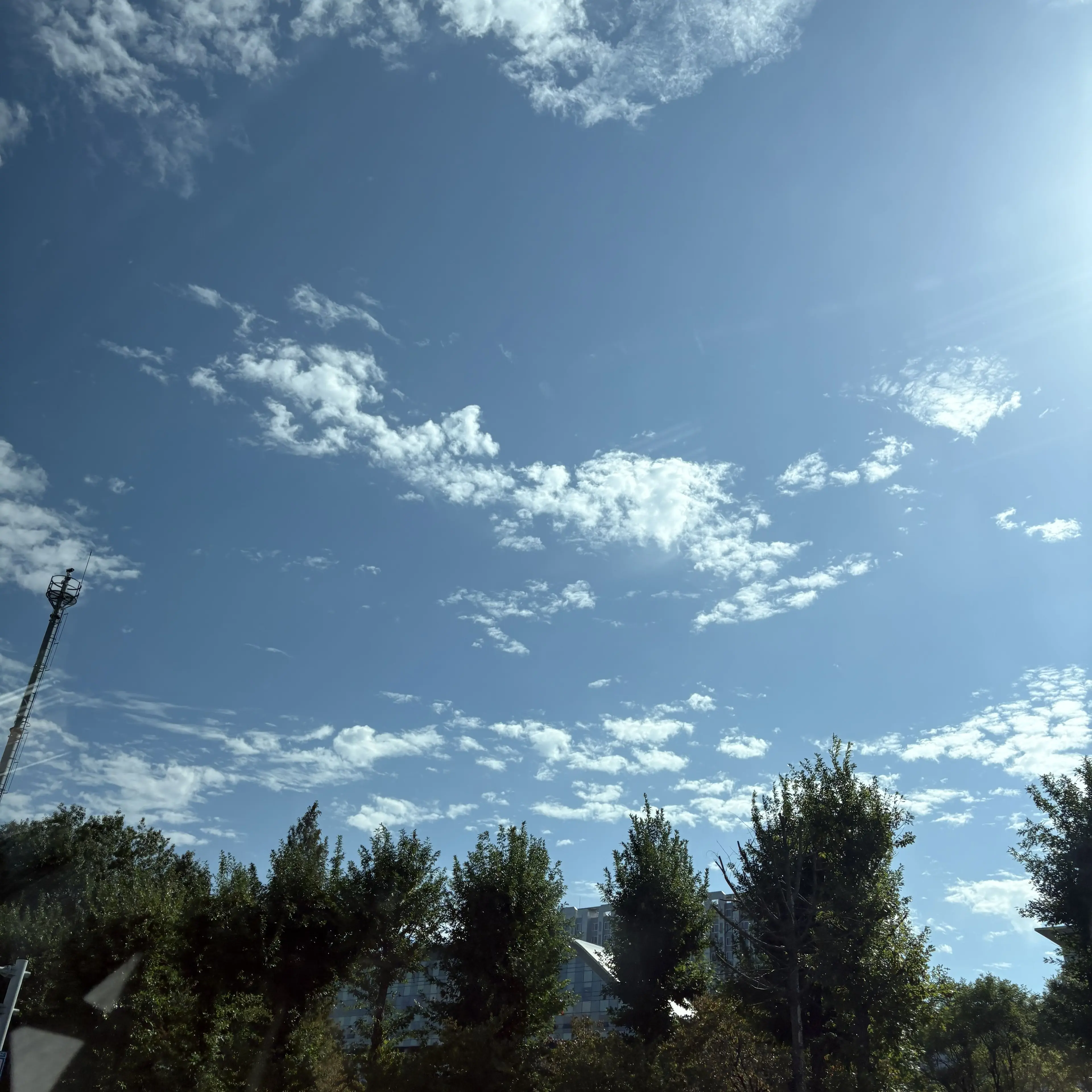 SoftRisk8398의 잠경위와수경사의자녀