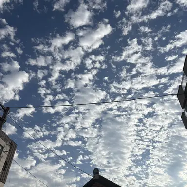 Profile image of 공룡